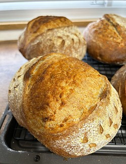 サワードウ　　650円　　　　（税込702円）